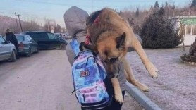 FOTO // „Nu l-am putut abandona”. O femeie din Ucraina şi-a cărat 17 kilometri câinele pe umăr, până la graniţă